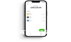 Tokenim钱包如何支持BSV及其